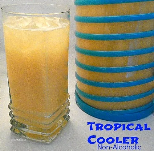 A Tropical Cooler (non-alcoholic) which is so refreshing, with various fresh fruit juices as well as a hint of coconut [perfect drink for any age]