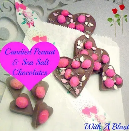 Candies Peanut & Sea Salt Chocolate www.withablast.net