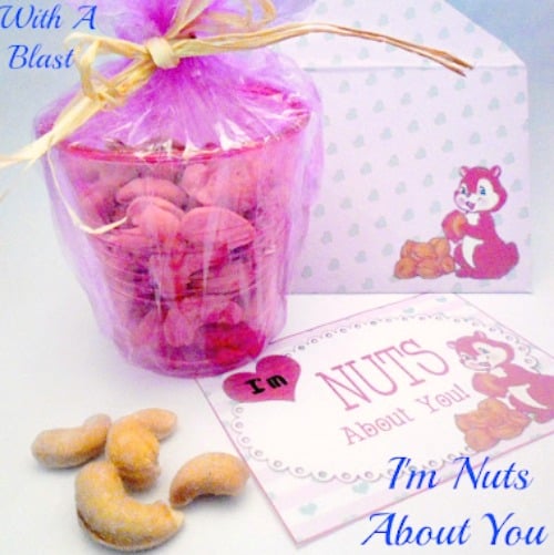 I'm Nuts About You is a great Valentines Day gift idea. Inexpensive and a link to the printable note and envelope. Ever so cute !