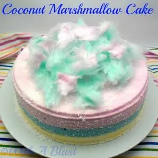 Coconut Marshmallow Cake