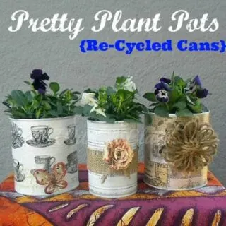 Pretty Plant Pots