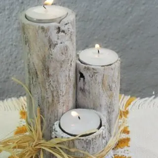 Branch Candle Holder