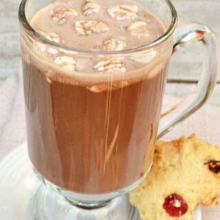 Thick Coconut Hot Chocolate (Lactose-Free)