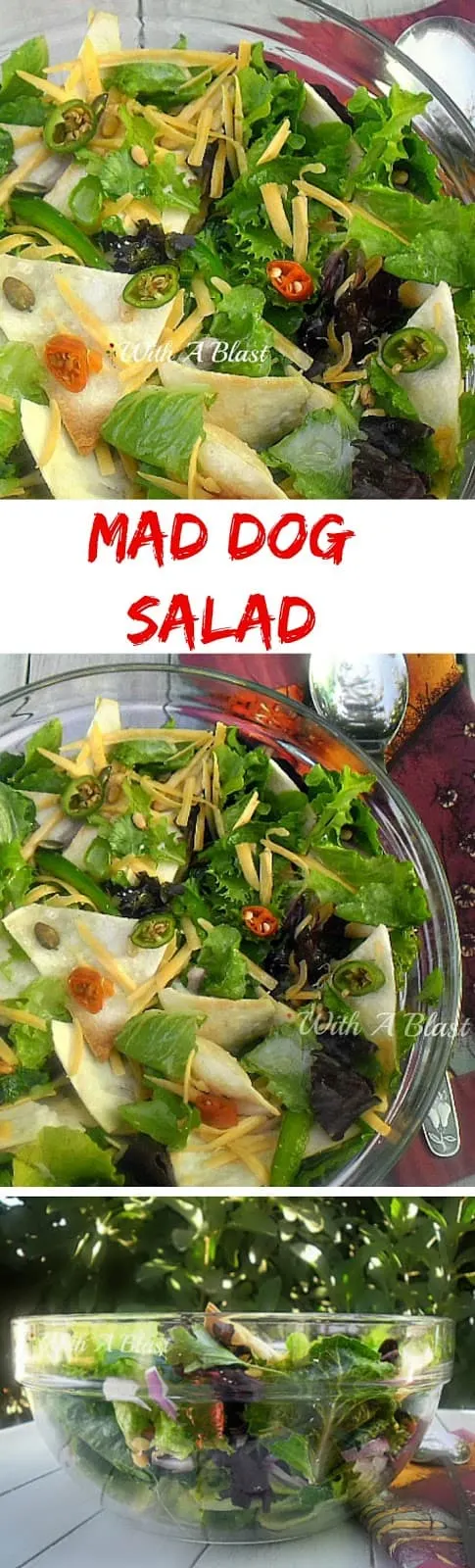 Everything nice and spicy in this Mad Dog Salad ! Crunchy Tortilla chips, herbs, lettuce, nuts, seeds and so much more #CrunchySalad #SaladRecipes #SpicySalad #TortillaChipSalad