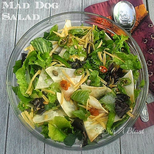 Everything nice and spicy in this Mad Dog Salad ! Crunchy Tortilla chips, herbs, lettuce, nuts, seeds and so much more 