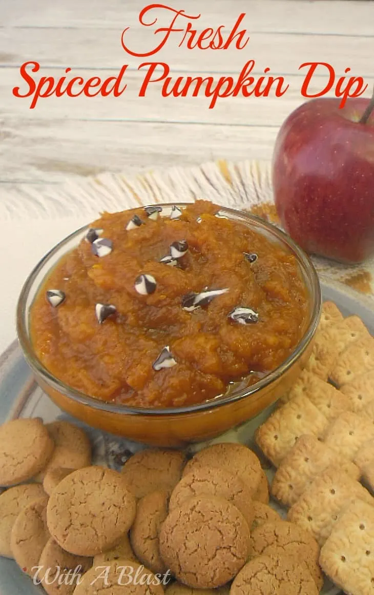 Fresh Spiced Pumpkin Dip ~ Delicious Spiced Pumpkin is so versatile - use it as a dip or as a spread on toast ~ serve warm or cold ! #PumpkinRecipe #PumpkinDip #Dips #FallRecipe #PumpkinSpread
