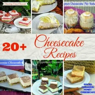 20+ Cheesecake Recipes