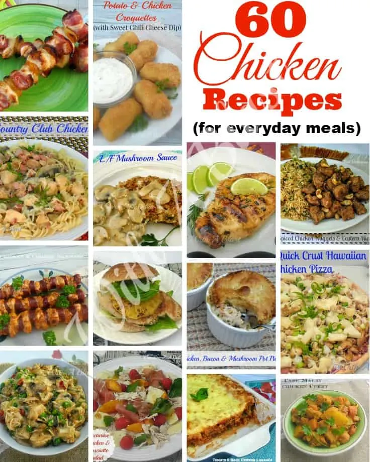 Chicken recipes for everyday meals, incl burgers, pot pies, kebabs, pizza, pastas, snacks and many more 60 Chicken Recipes