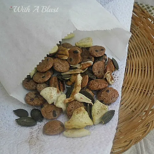 Fall Trail Mix ~ Every single ingredient is packed with Fall flavors and will give you the necessary boost needed for the day #TrailMix #FallRecipe #FallSnacks Fall Trail Mix ~ Every single ingredient is packed with Fall flavors and will give you the necessary boost needed for the day #TrailMix #FallRecipe #FallSnacks