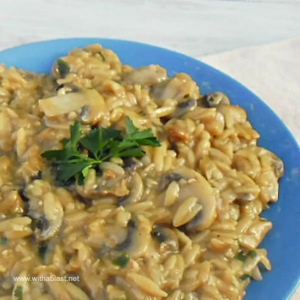 This Orzo and Mushroom Casserole is a comforting, meatless and vegetarian dish - quick and easy to make and on the table in under 25 minutes