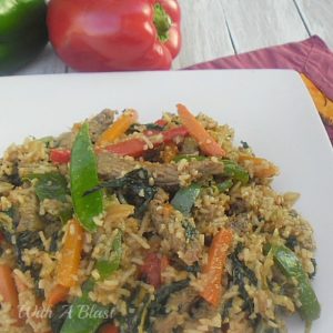 Steak and Vegetable Fried Rice