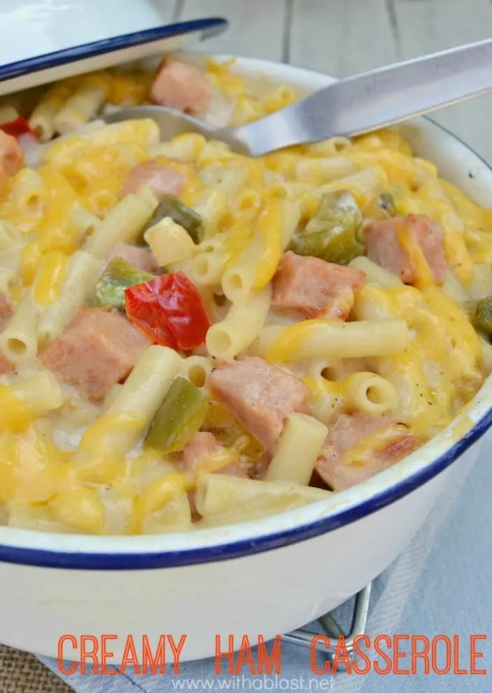 The creamiest, most delicious spin on the popular "Mac and Cheese" around ! Not only delicious, but quick and easy to make as well, using everyday ingredients and perfect for a weeknight dinner The creamiest, most delicious spin on the popular "Mac and Cheese" around ! Not only delicious, but quick and easy to make as well, using everyday ingredients and perfect for a weeknight dinner