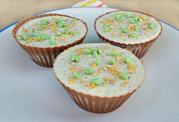 Peppermint Chocolate Ice-Cream Cups 