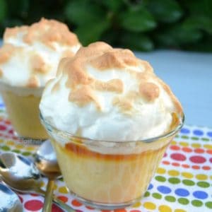 Old-Fashioned Velvet Pudding Cups
