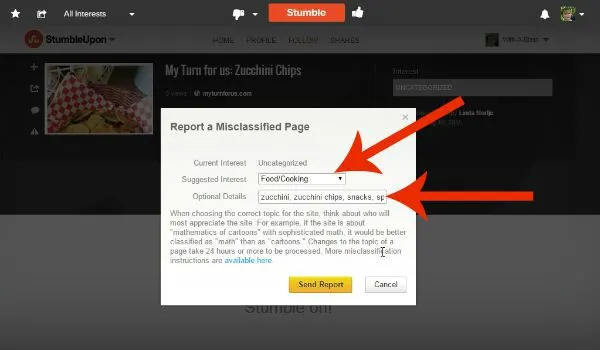 Fix An Incorrect Category On StumbleUpon