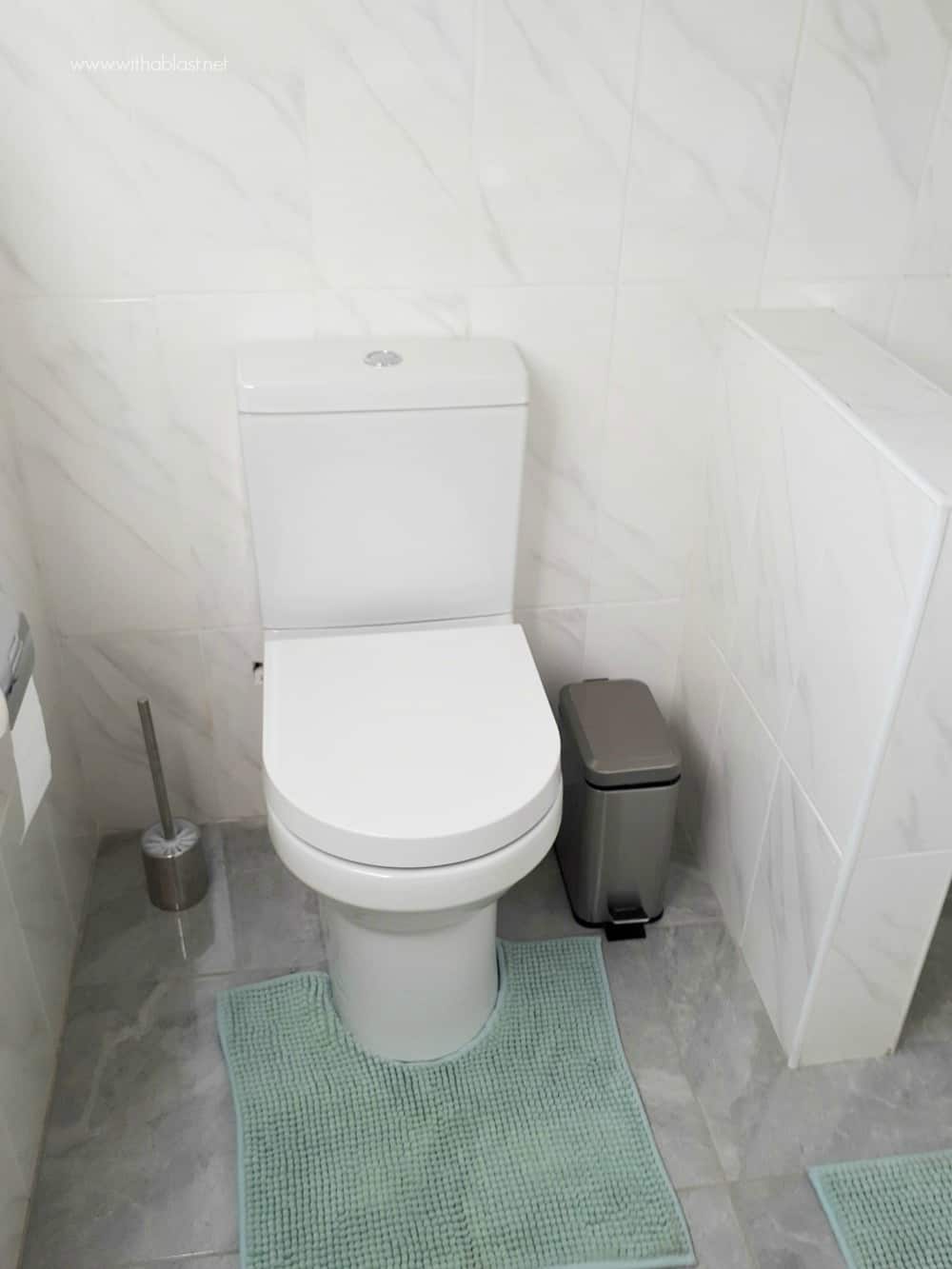 Bathroom Makeover [toilet / loo]