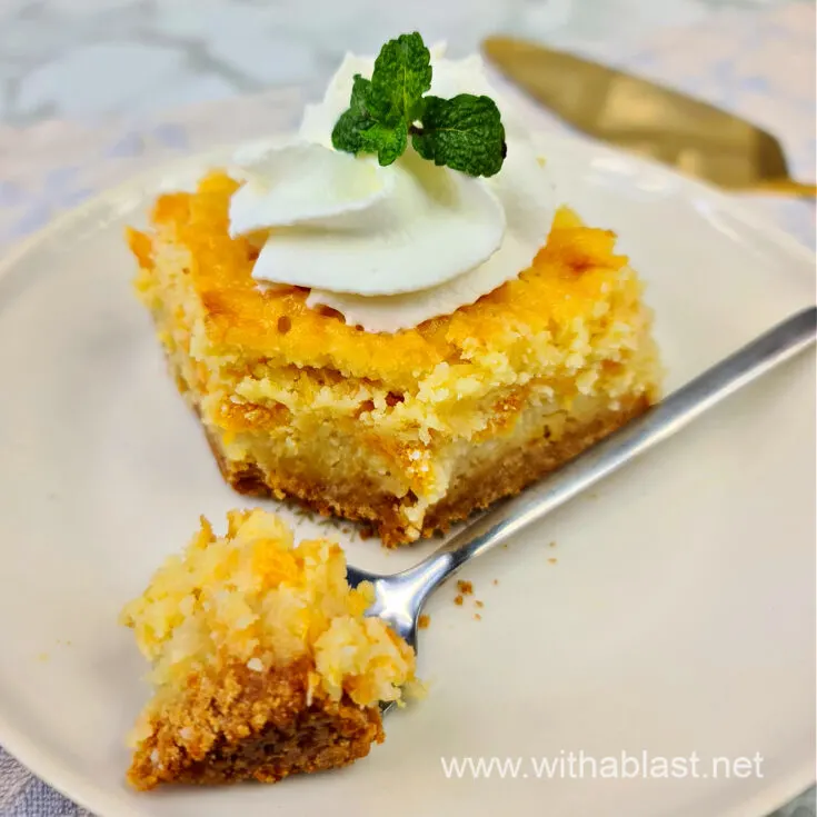 Gooey Coconut Peach Butter Cake